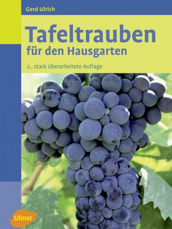 Tafeltrauben für den Hausgarten